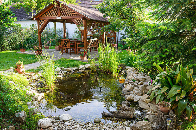 A garden designed by a landscaper