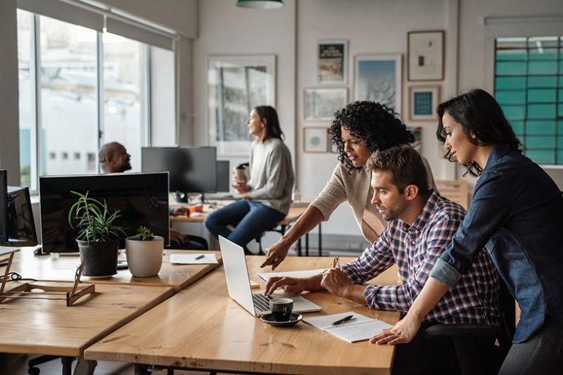 People working on laptops in an office