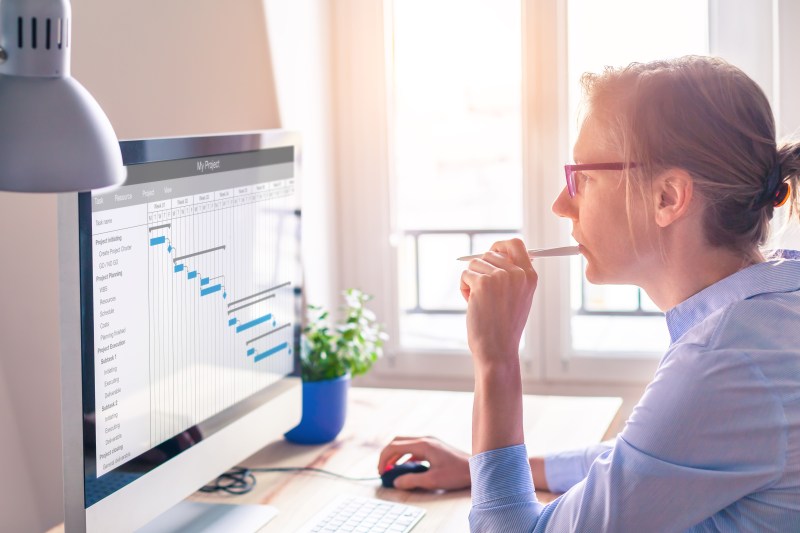 Project manager viewing Gantt Chart