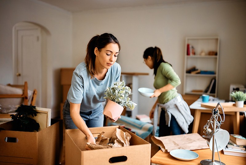 Tenants packing up and moving out of a rental property