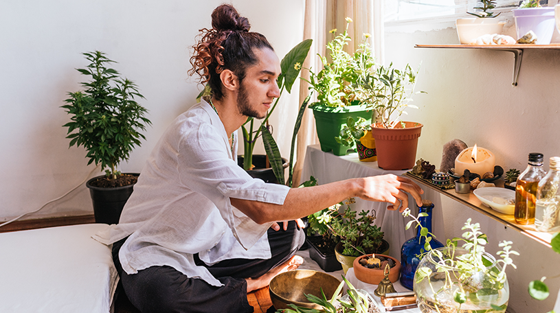 Spiritual healer looking for a plant