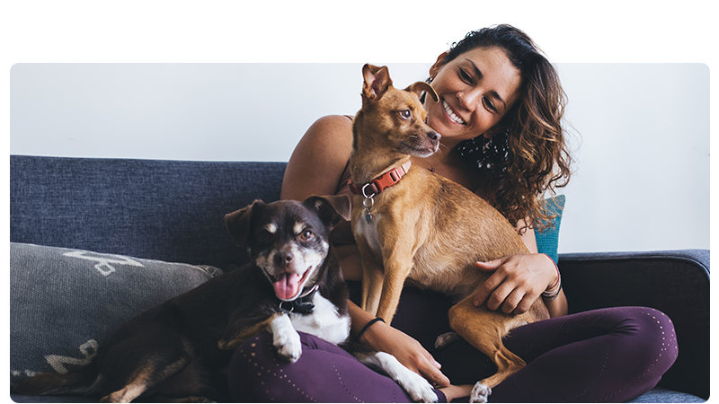 Pet care - woman on a sofa with a tan dog and a black and white dog on her lap.